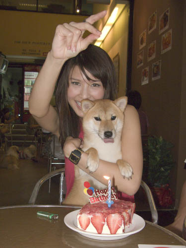 img_0702-mika-and-her-cake Mika's sticking out her tongue