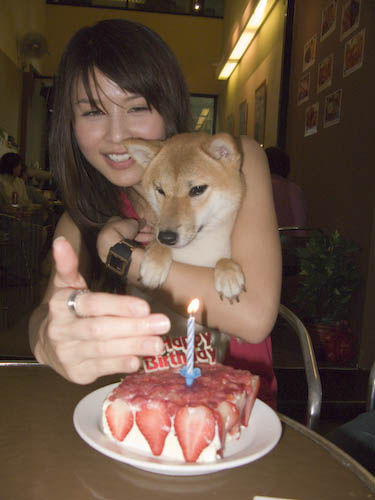 img_0704-mika-and-her-cake Mika & her cake