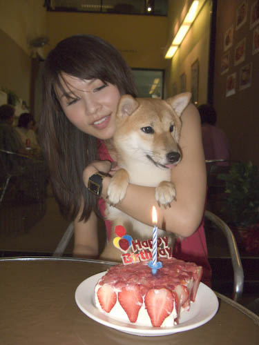 img_0705-mika-and-her-cake Mika sticking out her tongue again