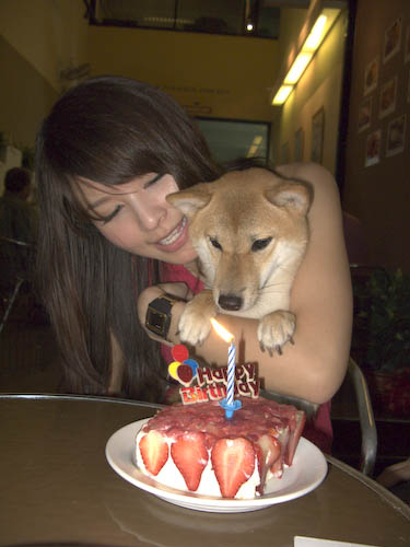 img_0707-mika-and-her-cake And again...