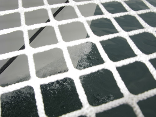 IMG_1395 - Breaking the Waves