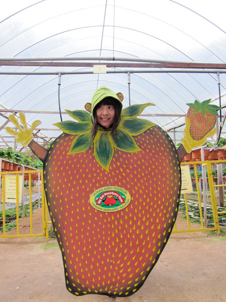 IMG_1013 - strawberry jessica