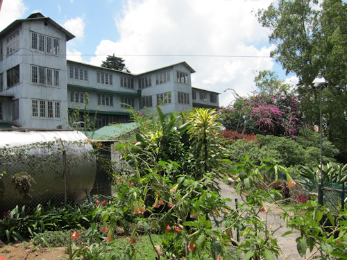 IMG_1096 - tea factory