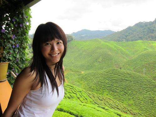 IMG_1127 - cameron valley tea plantation